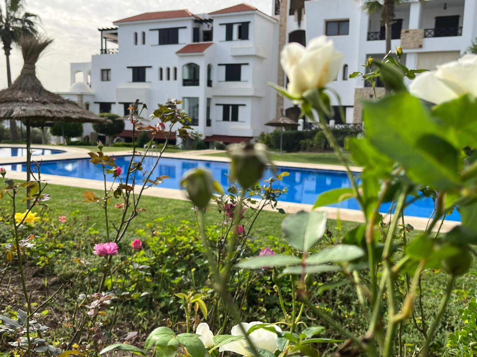 Lilac'S Garden Vue Piscine M'Diq Exterior photo